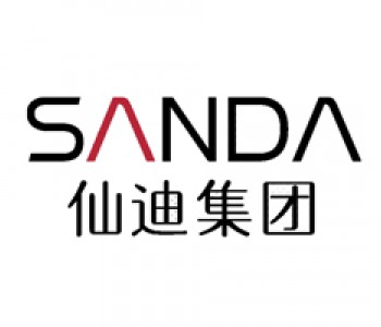 仙迪集团